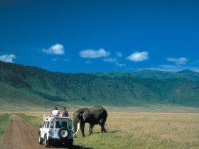 Kenya and Tanzania safari adventure